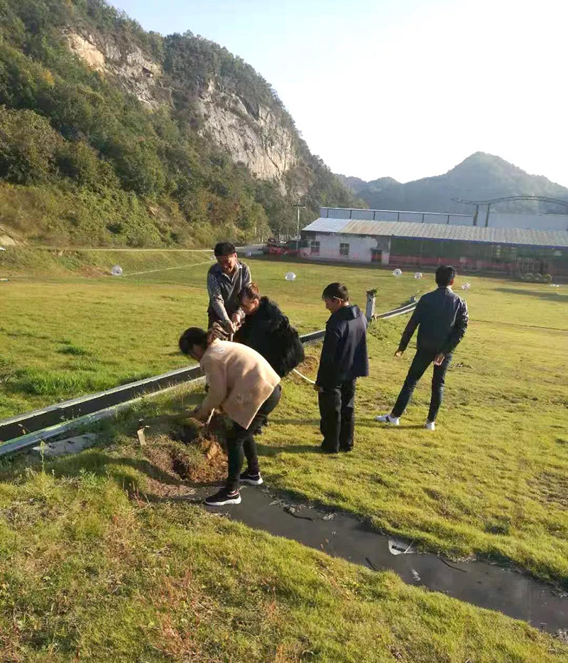 &#20061;&#28216;&#24179;&#21488;&#45;&#20061;&#28216;&#40;&#20013;&#22269;&#41;&#19968;&#31449;&#24335;&#26381;&#21153;&#24179;&#21488;