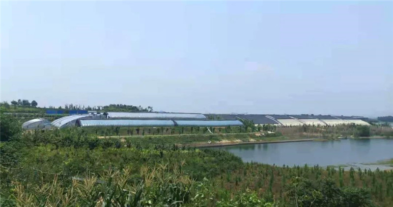 &#20061;&#28216;&#24179;&#21488;&#45;&#20061;&#28216;&#40;&#20013;&#22269;&#41;&#19968;&#31449;&#24335;&#26381;&#21153;&#24179;&#21488;